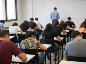 Palhoça processo seletivo FMEC temporário edital