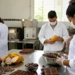 pós-graduação gratuita IF Baiano