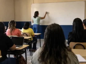 processo seletivo bolsistas SEDUC TO Tutor Professor Formador