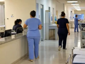 processo seletivo HOB Belo Horizonte tempo determinado