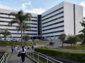 processo seletivo HOB MG vagas até R$ 18 mil