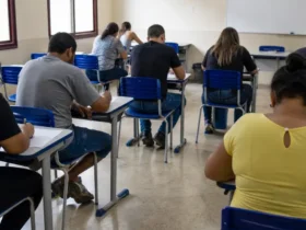 processo seletivo Prefeitura de Alcobaça 481 vagas