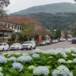 processo seletivo Prefeitura de São Francisco de Paula (RS) cadastro reserva