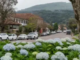 processo seletivo Prefeitura de São Francisco de Paula (RS) cadastro reserva