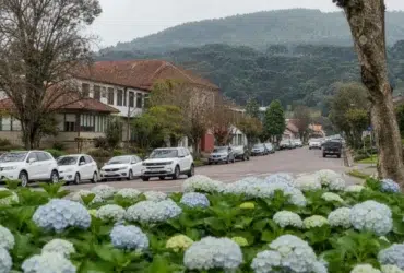 processo seletivo Prefeitura de São Francisco de Paula (RS) cadastro reserva