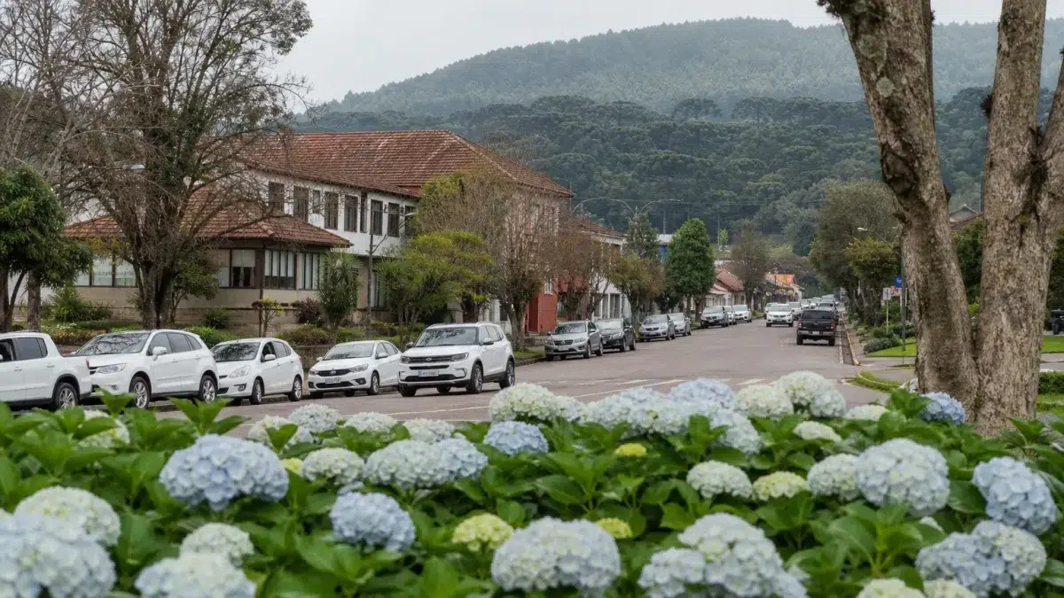 processo seletivo Prefeitura de São Francisco de Paula (RS) cadastro reserva