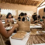 produtos de carnaúba em escola indígena