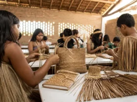 produtos de carnaúba em escola indígena