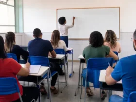 programas do MEC para professores