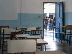 redes estaduais perderam 26,2% das matrículas