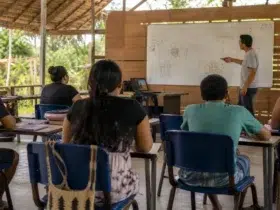 seleção professor formador IFRR UAB