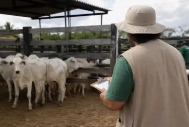 seletivo ADEPARÁ 15 vagas