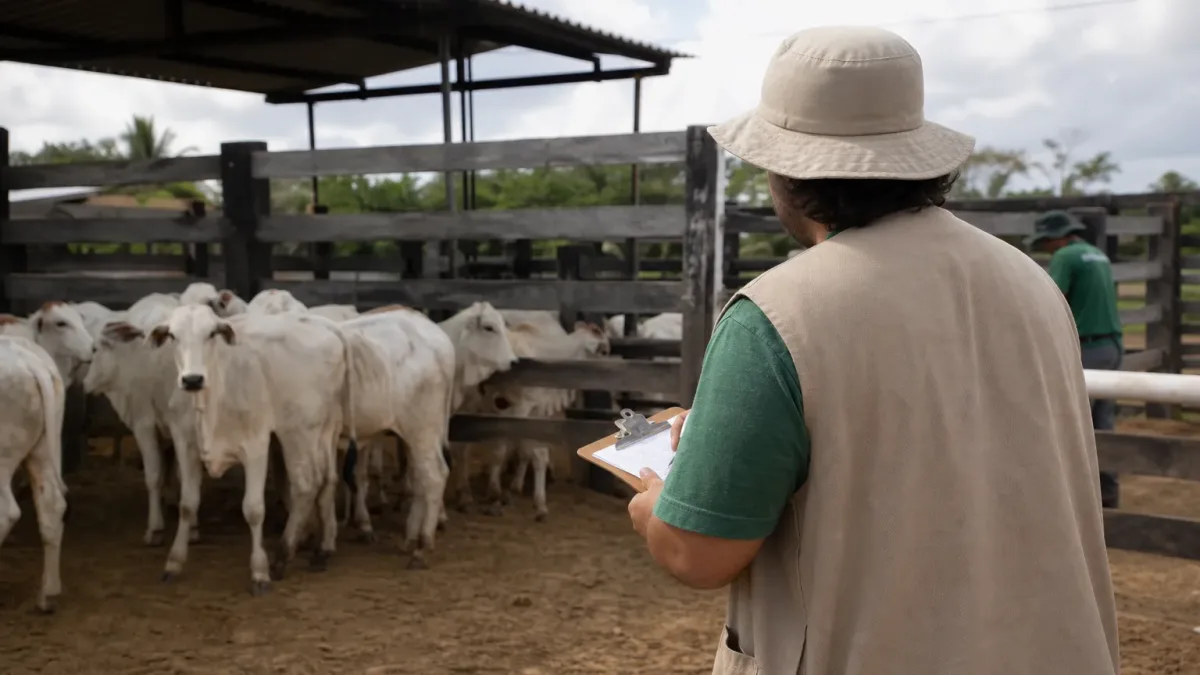 seletivo ADEPARÁ 15 vagas