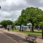 seletivo nível fundamental Prefeitura de Mangueirinha