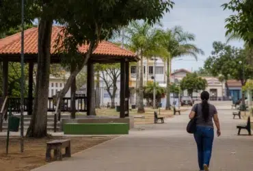 seletivo Prefeitura de Alto Alegre RR 103 vagas