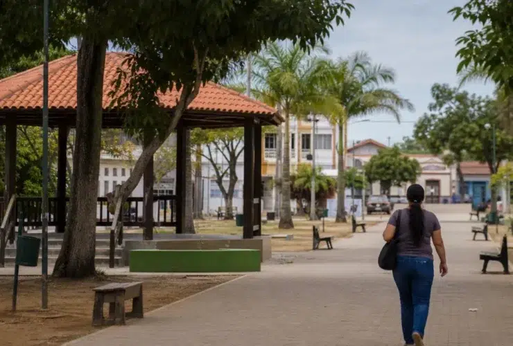 seletivo Prefeitura de Alto Alegre RR 103 vagas