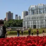 seletivo Prefeitura de Curitiba 243 vagas