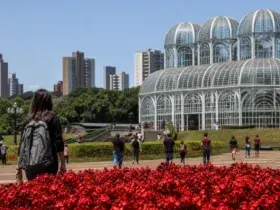 seletivo Prefeitura de Curitiba 243 vagas