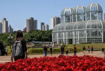 seletivo Prefeitura de Curitiba 243 vagas