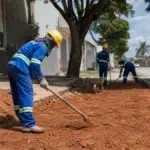 seletivo Prefeitura de Curvelo MG nível médio