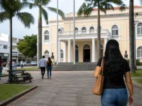 seletivo Prefeitura de Nova Venécia nível superior