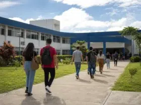 transferência Uesb 2027.1 edital 310/2026
