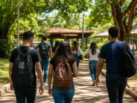 vagas em cursos gratuitos da Ufopa
