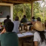 vestibular UFRB 2027.1 Educação do Campo 190 vagas gratuitas